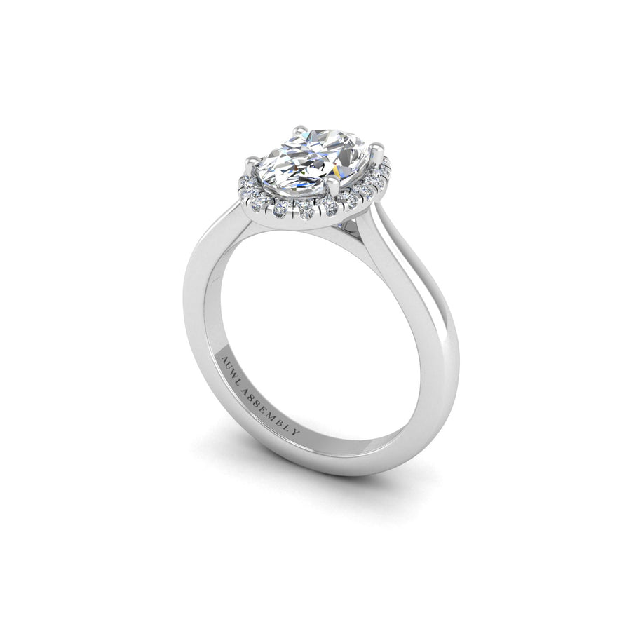 Diamond Halo Diamond Engagement Ring in White Gold- AUWL Assembly