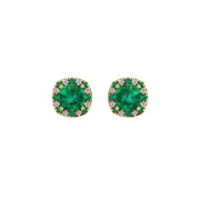 Gold emerald cushion halo stud earrings front view